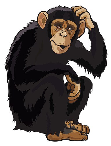 monkey_PNG18739