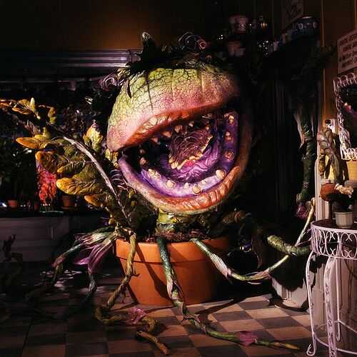 audrey-ii-plant-from-the-film-little-shop-of-horrors-news-photo-1585163856