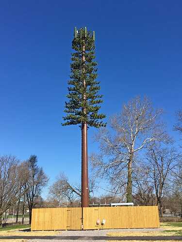 636420155825232566-Cell-Tower-tree-2