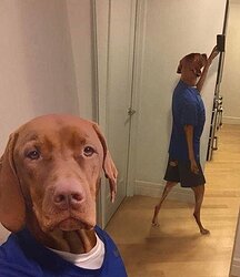 580164CF-BCFD-44C7-90FC-A9375EF33F68