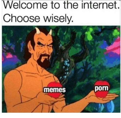 welcome-to-the-internet-choose-wisely-memes-porn-35388775