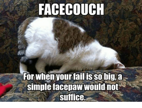 facecouch-for-when-your-fail-is-so-big-a-simple-35449354