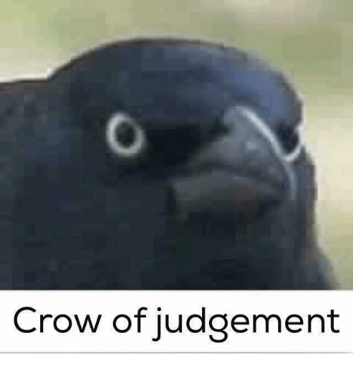 crow-of-judgement-28821109