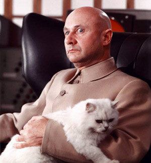 Blofeld Cat