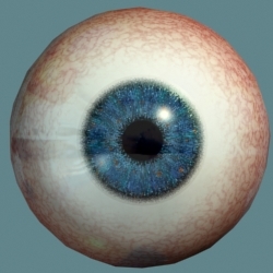 eyeball-dark-blue-eye-max_DHQ