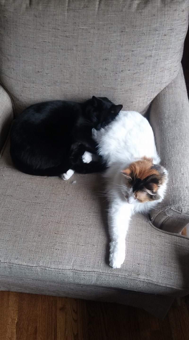 17966407_10212019650354028_1872082918110754583_o